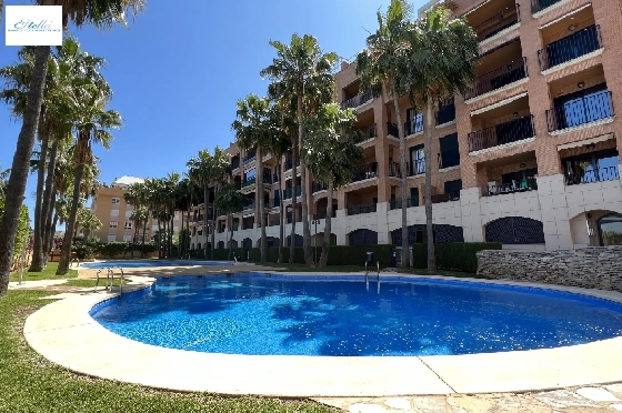 apartment-in-Denia-Centro-for-holiday-rental-T-1318-1.webp