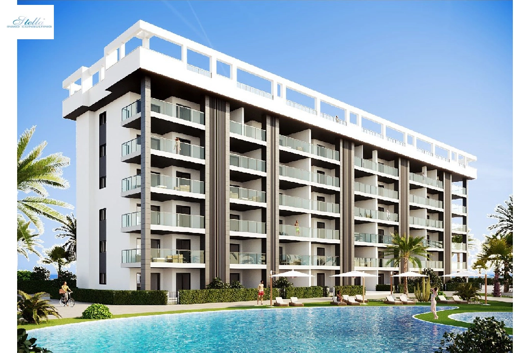 Penthouse Apartment in Torrelamata zu verkaufen, Wohnfläche 213 m², Zustand Erstbezug, 3 Schlafzimmer, 2 Badezimmer, Pool, ref.: HA-TLN-135-A02-5