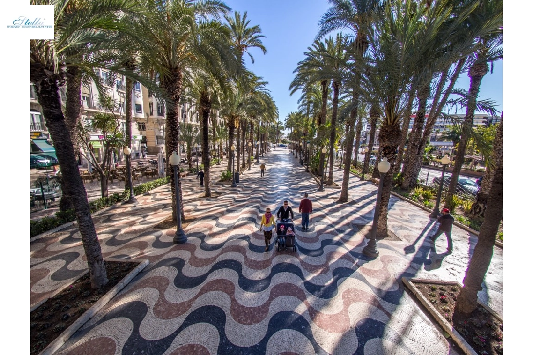 Stadthaus in Alicante(Playa de San Juan) zu verkaufen, Wohnfläche 194 m², Grundstück 65 m², 4 Schlafzimmer, 3 Badezimmer, Pool, ref.: TW-AZUR-5-24